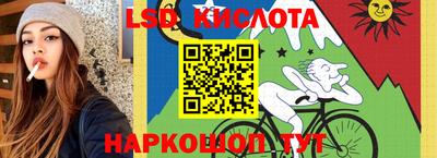 бошки Бийск