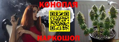 бошки Бийск
