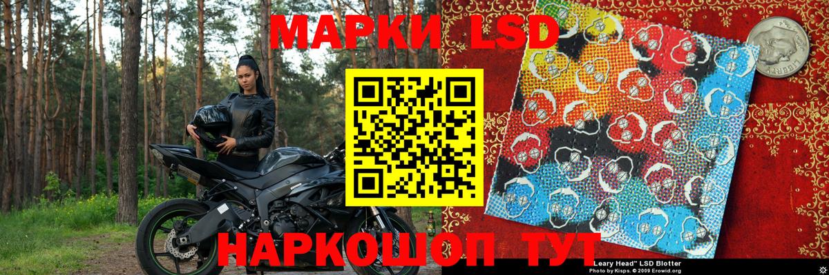 Наркотические марки 1,5мг  Вход с VPN  Карпинск 