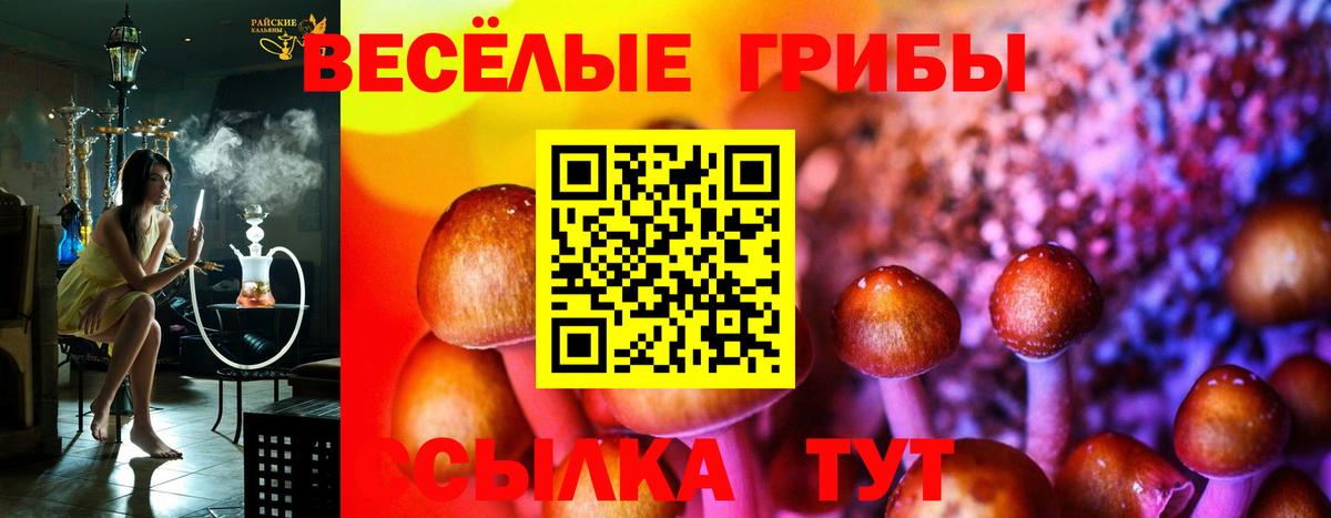 Карпинск  Галлюциногенные грибы мицелий  Вход с VPN 